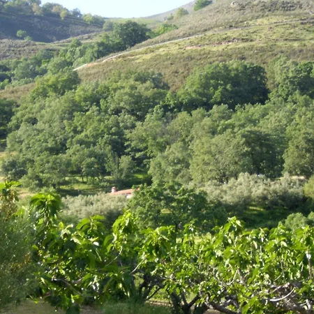Cordobi *