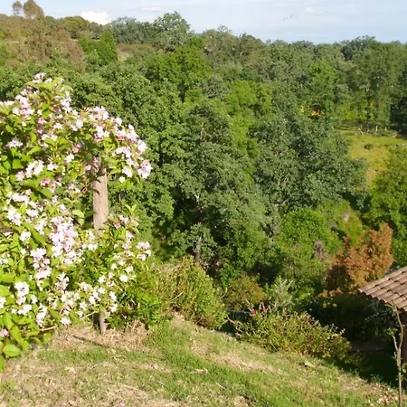 Cordobi