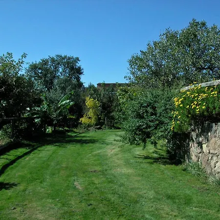 Cordobi